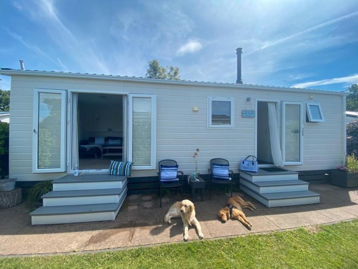 N 9Strandnahes, Hunde-Familienfreundliches Ferienhaus Callantsoog Exteriör bild
