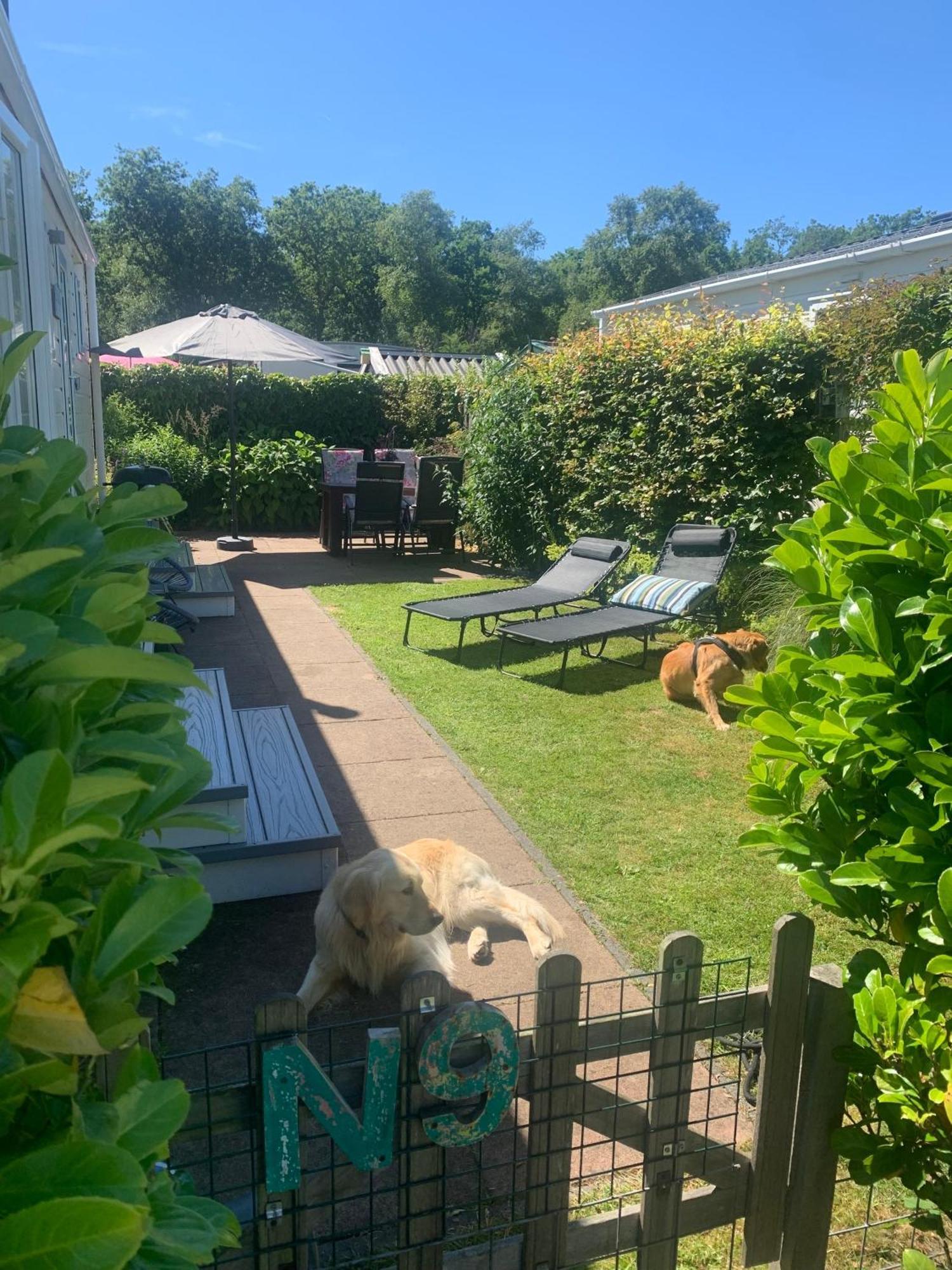 N 9Strandnahes, Hunde-Familienfreundliches Ferienhaus Callantsoog Exteriör bild