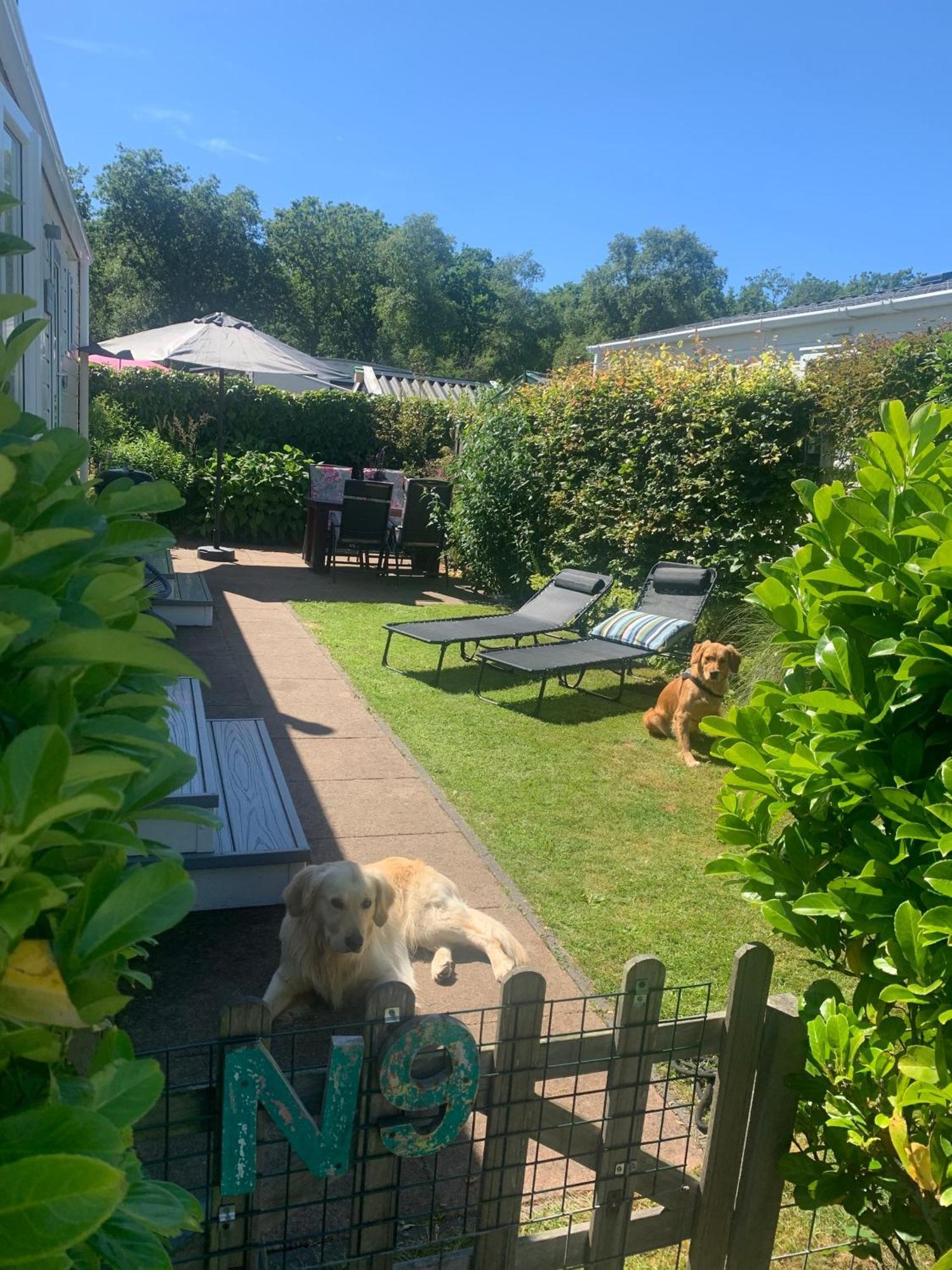 N 9Strandnahes, Hunde-Familienfreundliches Ferienhaus Callantsoog Exteriör bild