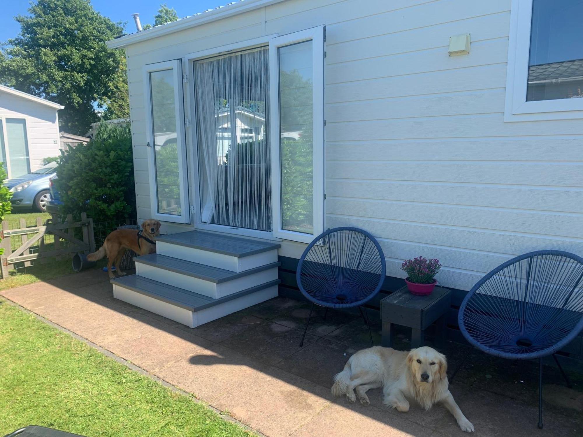 N 9Strandnahes, Hunde-Familienfreundliches Ferienhaus Callantsoog Exteriör bild